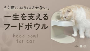 愛猫の健康は飼い主の幸せ！体格に合わせて調整可能。無理なく食べられるフードボウル