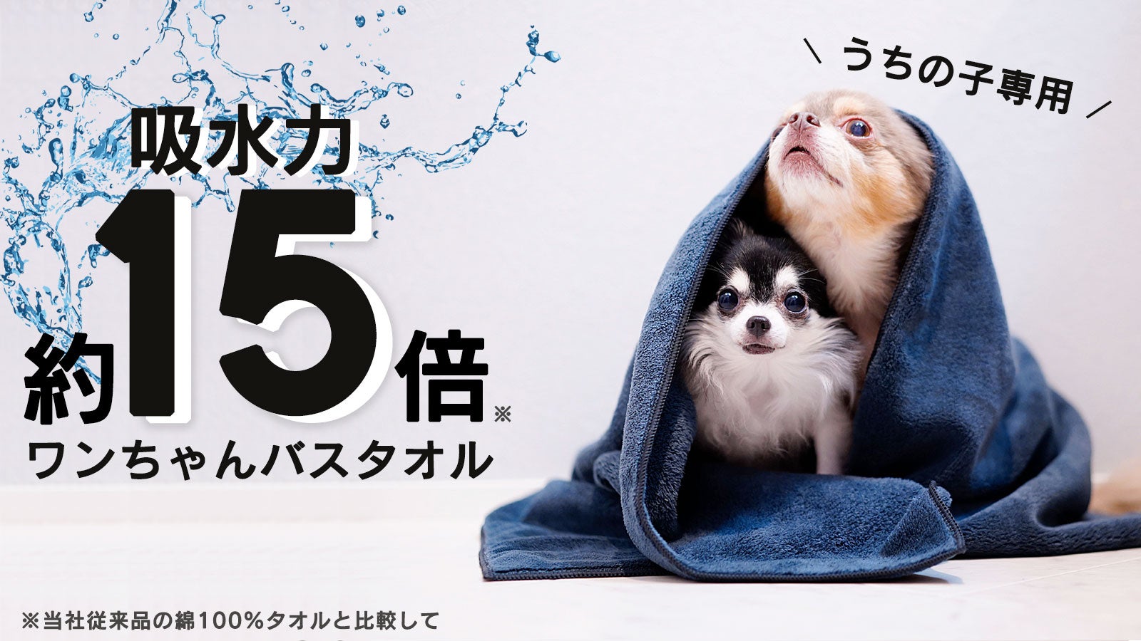 圧倒的吸水力で時短と快適に。トリマーさんと考えた「ワンちゃんバス