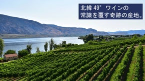 カナダ南部のワイナリー「LA STELLA」より、希少な上質ワインが輸入決定