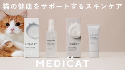 薬剤師×獣医師×医療大学で開発。猫の皮膚を守る高品質スキンケア