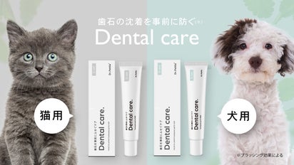 獣医師監修】ワンちゃん用・ネコちゃん用の歯磨きジェル「デンタルケア 