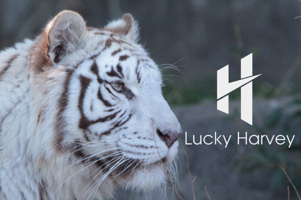 LuckyHarvey】左右の目が針！？ ユニークだけど本格自動巻機械式腕時計