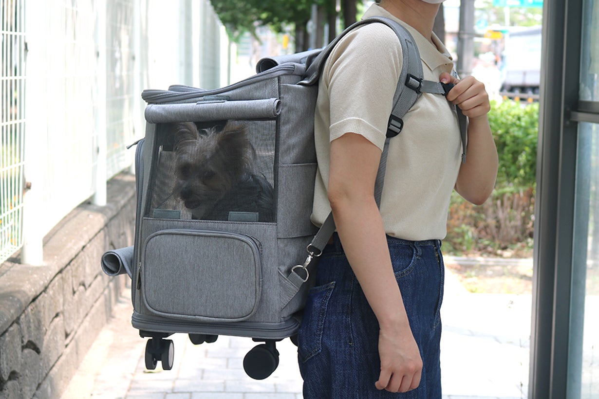 ハウスのまま出かけられる！キャリーバッグやリュックにもなる4Way