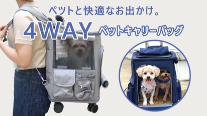 ハウスのまま出かけられる！キャリーバッグやリュックにもなる4Way 