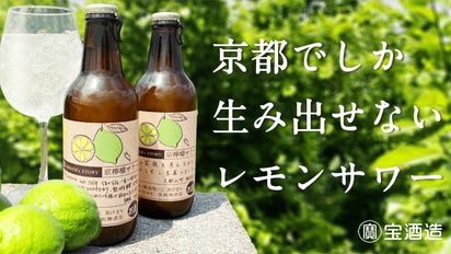 Amazon｜スケーター(Skater) ハンドル付 ステンレス ダイレクト