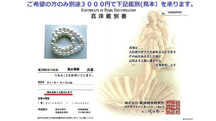 8.5～12.1 ミリ 南洋白蝶真珠 ネックレス 鑑別書付き