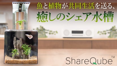 魚と植物の共同生活、水替え不要のシェア水槽！ 生きるインテリア 