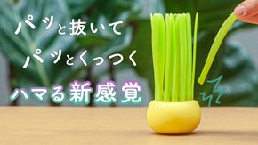 【新・リラックスタイムグッズ】新しいくつろぎと遊びを提供「にら家族」