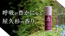 貴重な屋久杉をアップサイクリングしたお線香。サンガインセンスによる精細調香！
