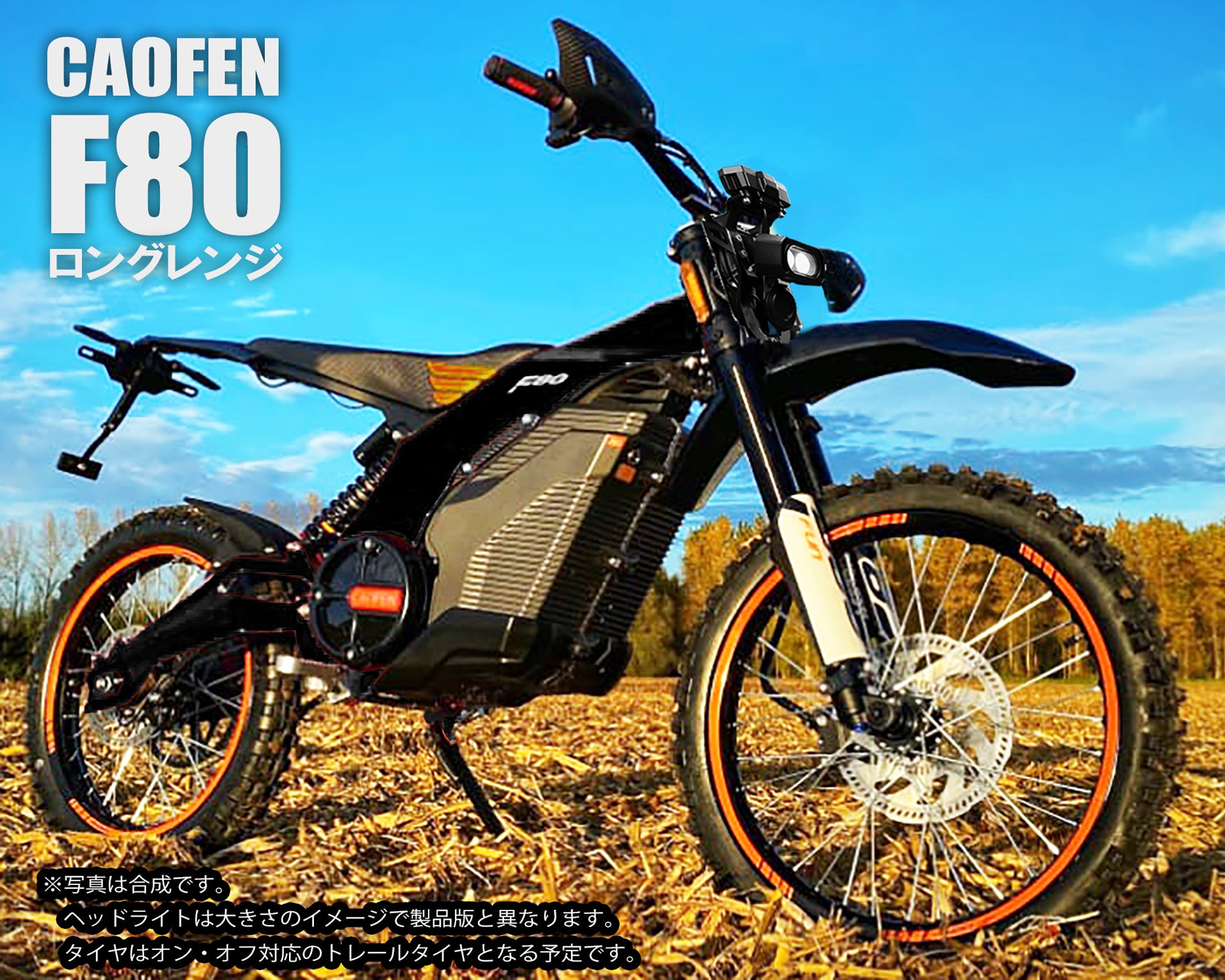 バイオプトロン プロ1 【外箱あり】スウォッツ3本付き FLEX86SS| バイオエタノール暖炉「EcoSmart Fire」