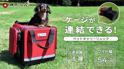 日常でも、災害時でも活躍。大切なペットを守る3WAY防災キャリー 
