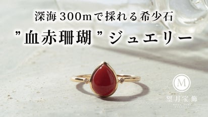 サンゴルース 血赤原木 ごまかせ