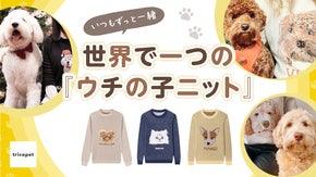 ペットの写真から作る世界で一つのニット。ウチの子が可愛くて堪らないあなたへ。