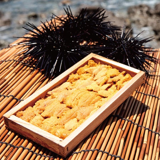ウニといえば北海道！！」その常識を覆す鹿児島のウニをご賞味あれ
