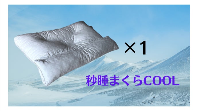 新・秒睡まくらCOOL (冷却機能内蔵) 睡眠のプロが考えた頸椎をケアする