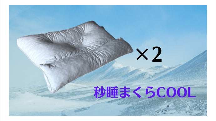 新・秒睡まくらCOOL (冷却機能内蔵) 睡眠のプロが考えた頸椎をケアする