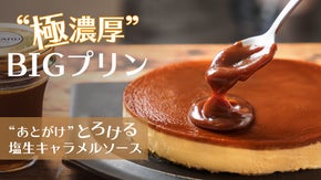 プリン専門店の極濃厚BIGプリン＆&ldquo;あとがけ&rdquo;とろける塩生キャラメルソース誕生！