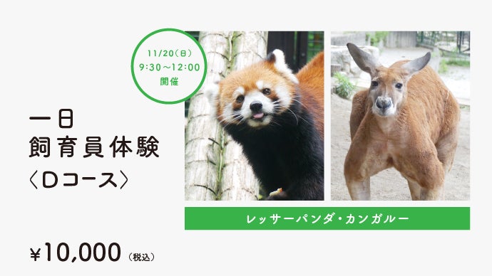 画家・北村直登の新作アート。一点モノの原画や、動物園を応援する