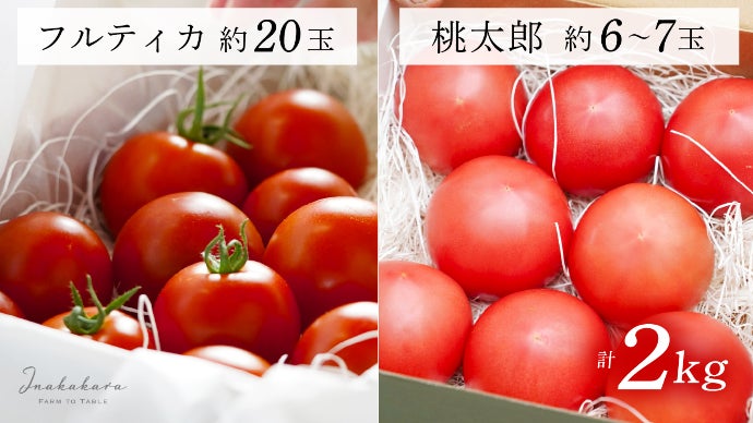 連日地元客で賑わう向山さんの「完熟トマト」を全国に届けたい
