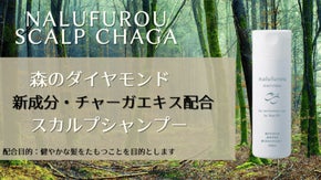 悩みにさよなら！チャーガ成分があなたの生活を変化！さあ楽しく出かけましょう！