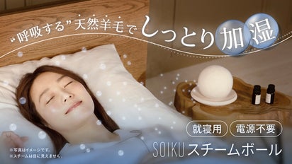天然羊毛の加湿力から生まれた、電気を使わない加湿器『スチームボール 