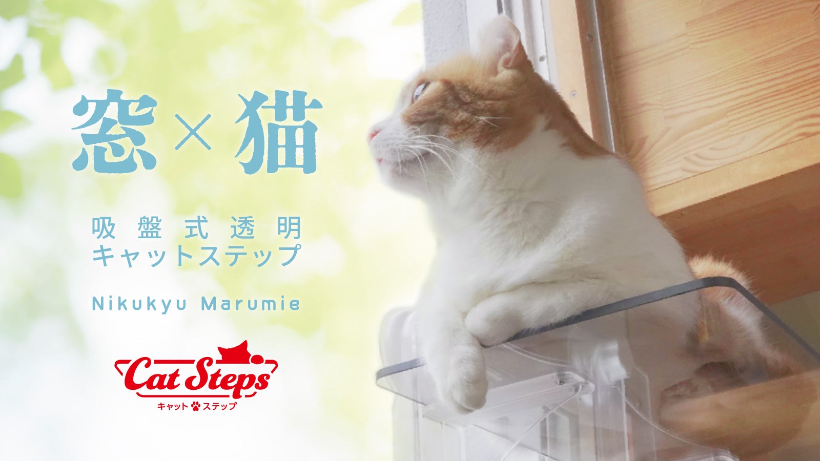 main_28139.jpg?version=