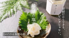 塩辛の概念が覆る、まろやかな口溶け。希少な国産スルメイカを使用した純白のイカ塩辛