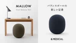 デスクワークにもおすすめ！体幹を鍛える【オーバル型 】バランス