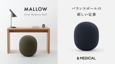 デスクワークにもおすすめ！体幹を鍛える【オーバル型 】バランスボール