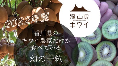 さぬきキウイっこプロジェクト2022】 極わずかしか採れないまぼろしの