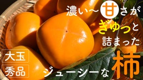 【フルーツ大国・和歌山県紀の川市から農家直送】こだわりのあま〜い柿が出来ました！
