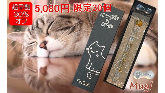 ピエールカルダンインク第四段『Catasy』猫色インクとガラスペン