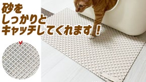 猫のトイレの前に敷くだけで、お手入れがぐんと楽になります ! ネコちゃんマット