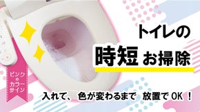 トイレの時短お掃除！トイレに入れて、色が変わるまで放置｜まるごとスカット110番