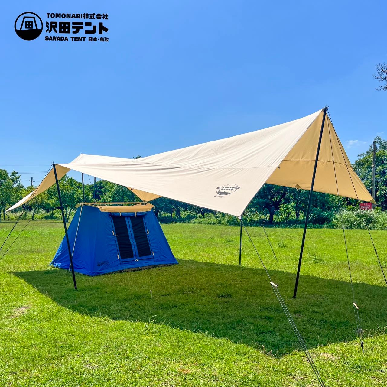 detail_28808_16644161803311.