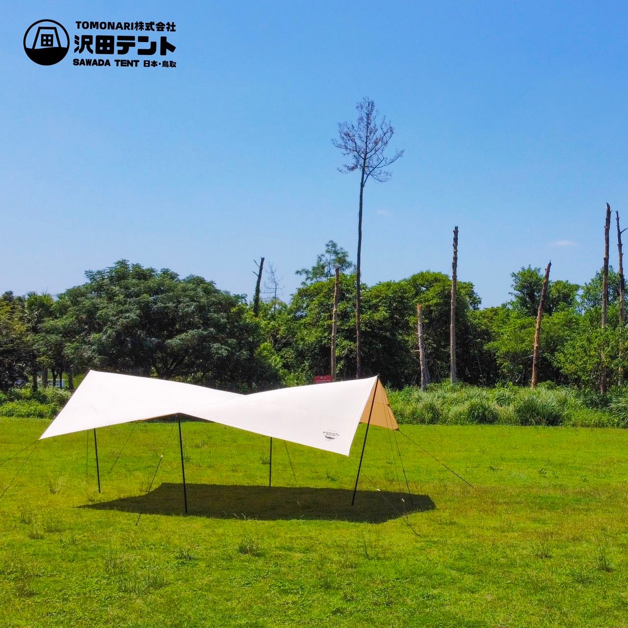 特大・簡単・高品質】テント前に大開放リビング！大人数OK！ポリ