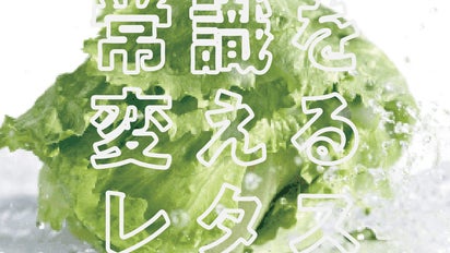 かぶりつきたいレタスがある。“予想を裏切る”河西レタスで思いがけない