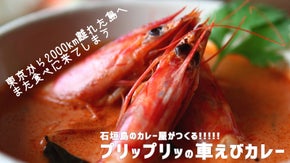 石垣島から冷凍でお届け！エビ好き、カレー好きのあなたへ！石垣島産車えびカレー