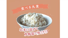 【長崎県産食べる丸麦・裸麦】甘みがありプチプチした触感！ご飯に混ぜて炊くだけ！