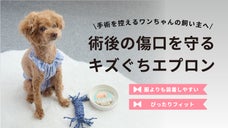 新発想！術後のワンちゃんのキズぐちをカバーする『キズぐちエプロン』