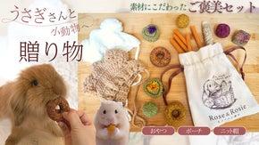 【うさぎ・小動物用】天然素材のおやつ&モフモフ好きさんがキュンとするアイテム