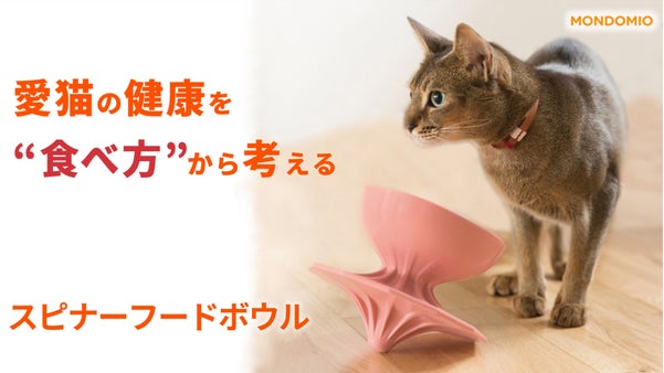 毎日が食育！食べ方をデザインしたフードボウル。【スピナーフードボウル】