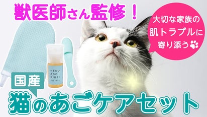けあねこ(=^・^=)さま専用です♪ 楽天市場】＼最大3000円OFFクーポン／ 日本製 宇宙船付き レザー