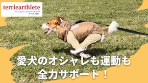 アパレルのプロが挑戦！ジャックラッセルテリアの特徴を考え抜いて作ったドッグウェア