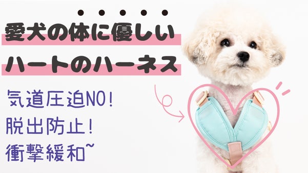 気道を押さないから愛犬のゴホゴホがない。気道に優しいハーネスが正しいハーネス