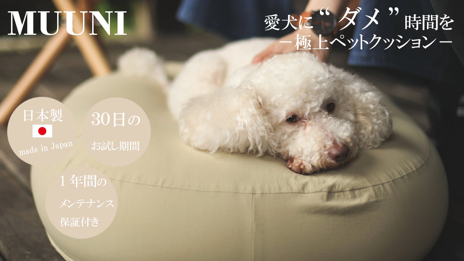 main_29312.jpg?version=