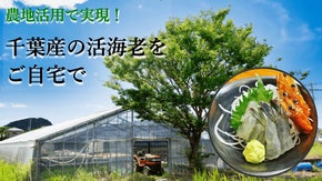 畑でエビを養殖！甘く初体験なプリッと感！SDGｓなエビを多くの方に届けたい！