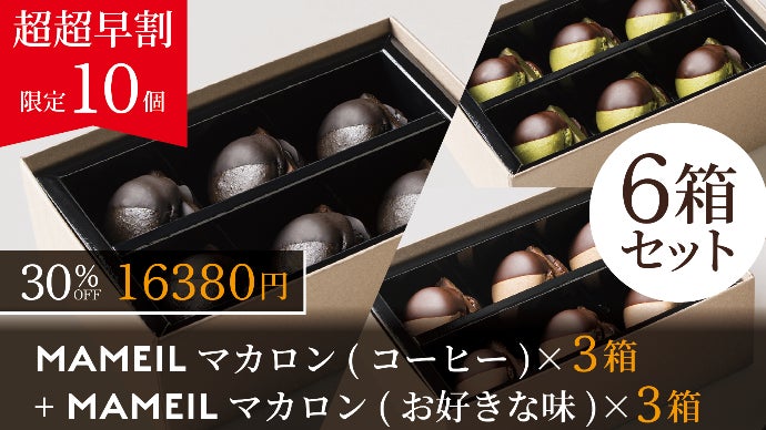 1粒をのべ一週間かけて作る】最高級生チョコマカロン「MAMEIL」新