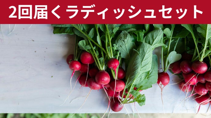 大粒ジューシー、甘くてフルーティー。1年に2回しか取れない奇跡の