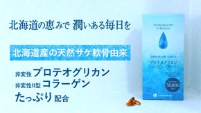 大人の女性のお悩みに応じた、北海道産天然サケの成分プロテオグリカン配合サプリ